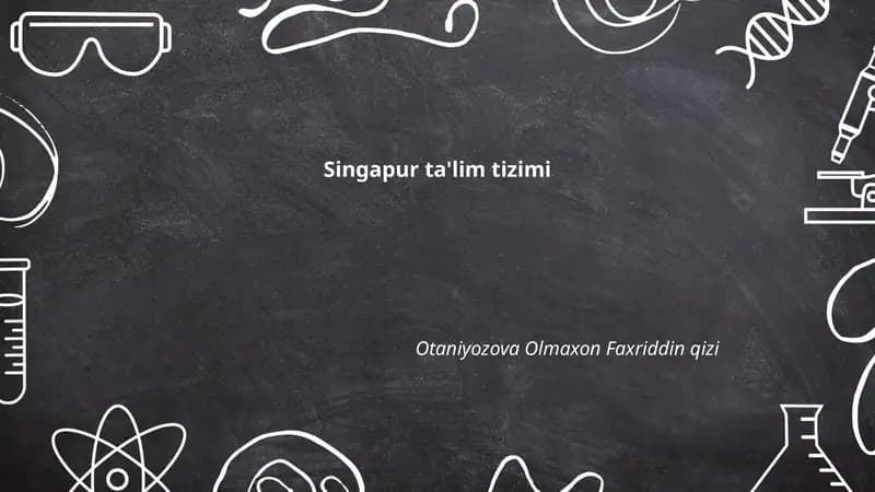 Singapur ta'lim tizimi