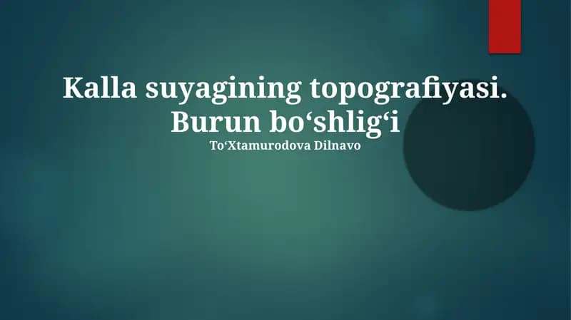 Burun Bo'shlig'i Anatomiyasi