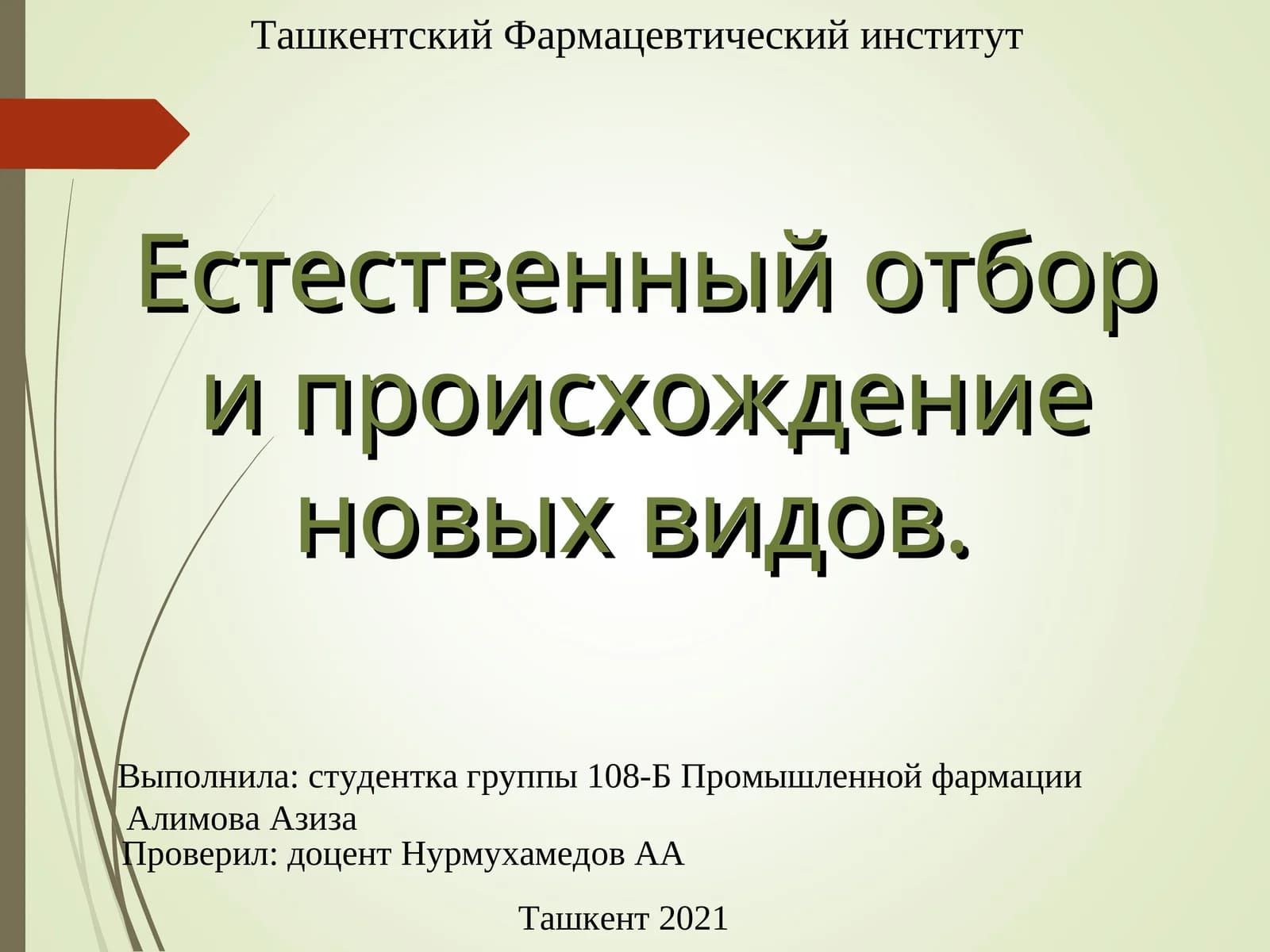 Естественный отбор и его значение в эволюции