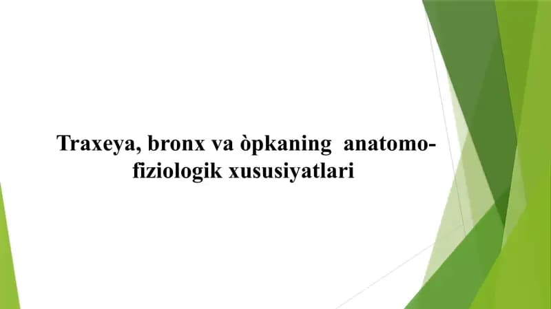 Traxeya, bronx va òpkaning anatom-fiziologik xususiyatlari