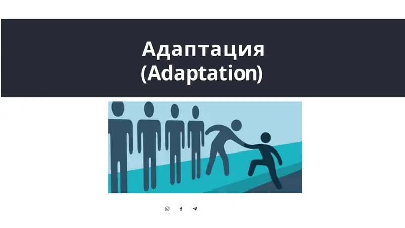 Адаптация(Adaptation)