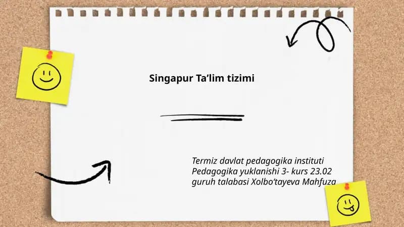 Singapur Taʼlim tizimi