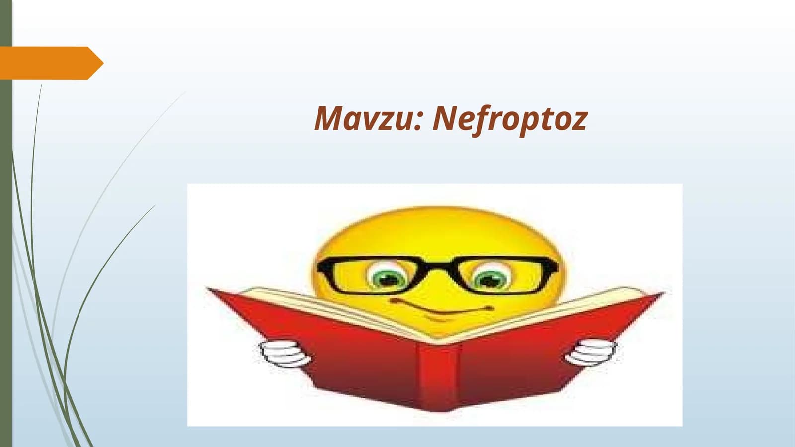 Nefroptoz