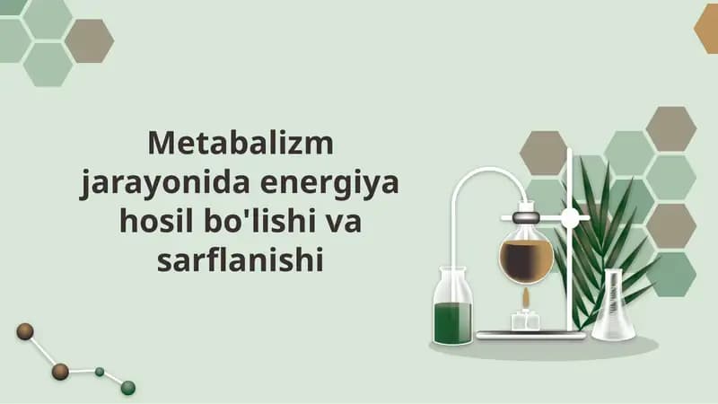 Metabalizm jarayonida energiya hosil bo'lishi va sarflanishi