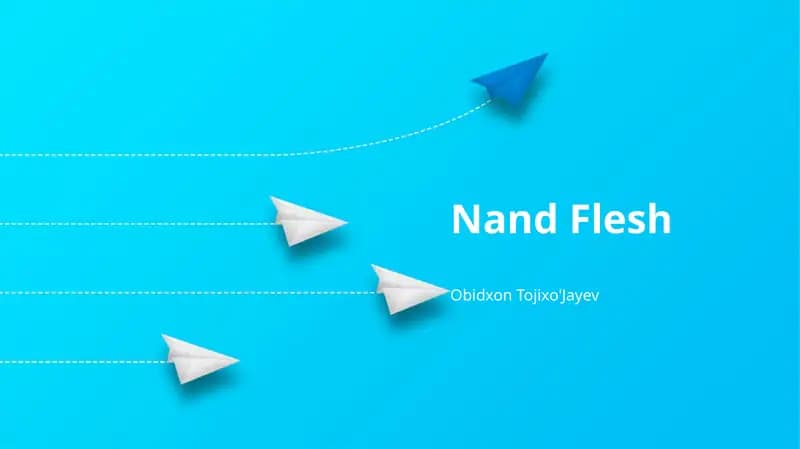Nand Flesh