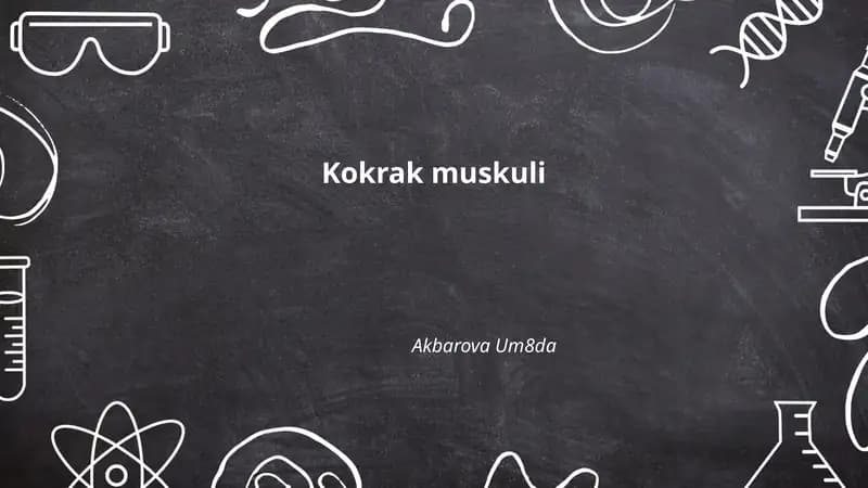 Ko'krak mushaklari anatomiyasi
