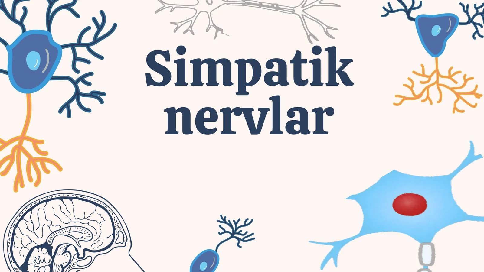Simpatik