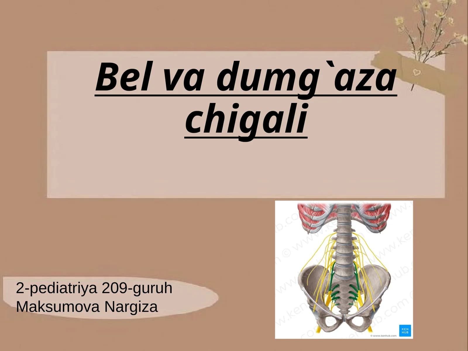 Bel va dumg`aza chigali