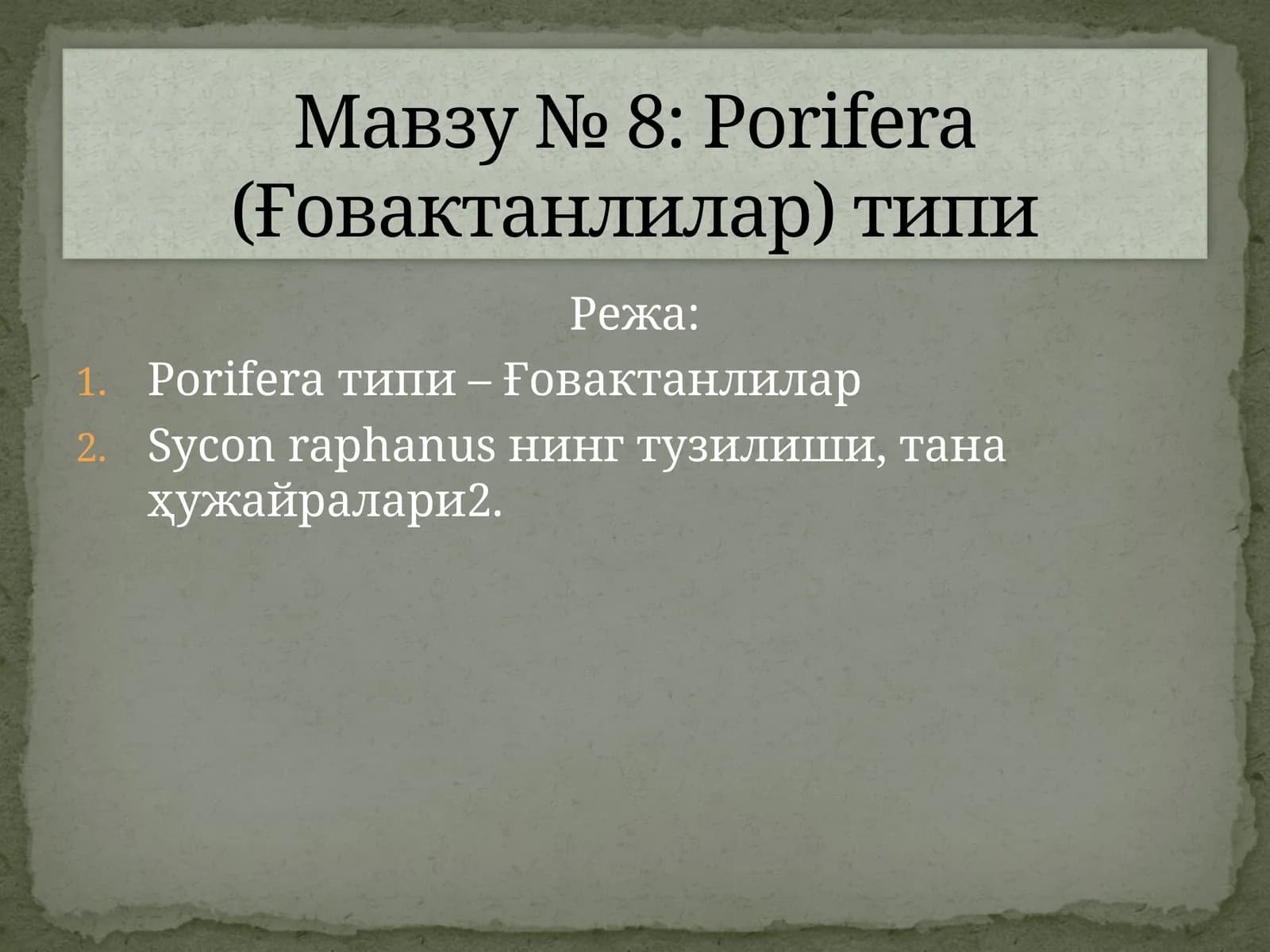 Porifera типи – Ғовактанлилар