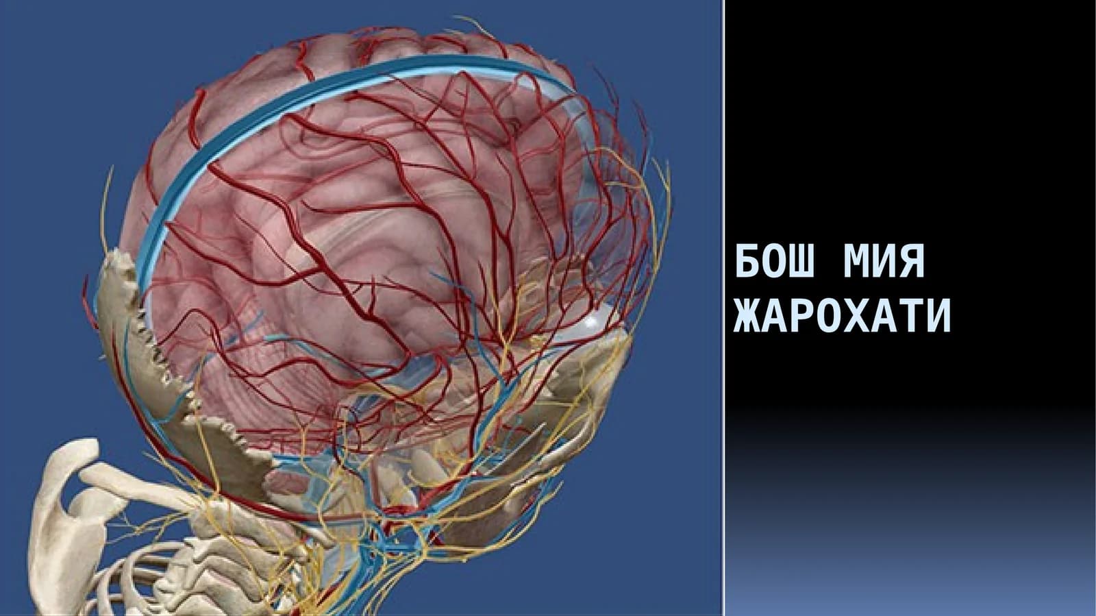 ЖАРОХАТ МЕХАНИЗМИ