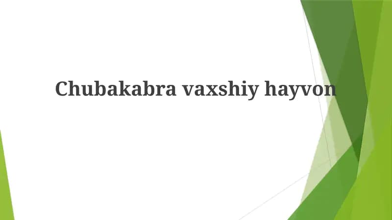 Chubakabravaxshiyhayvon