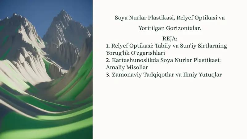 Soya Nurlar Plastikasi