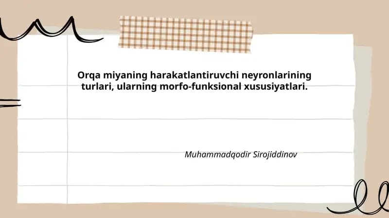 Orqa miyada motor neyronlarning turlari