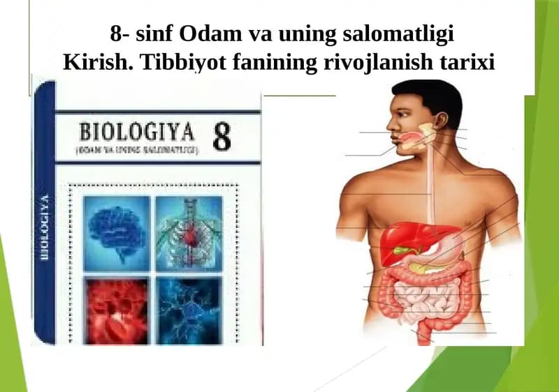 8-sinf Odam va uning salomatligi