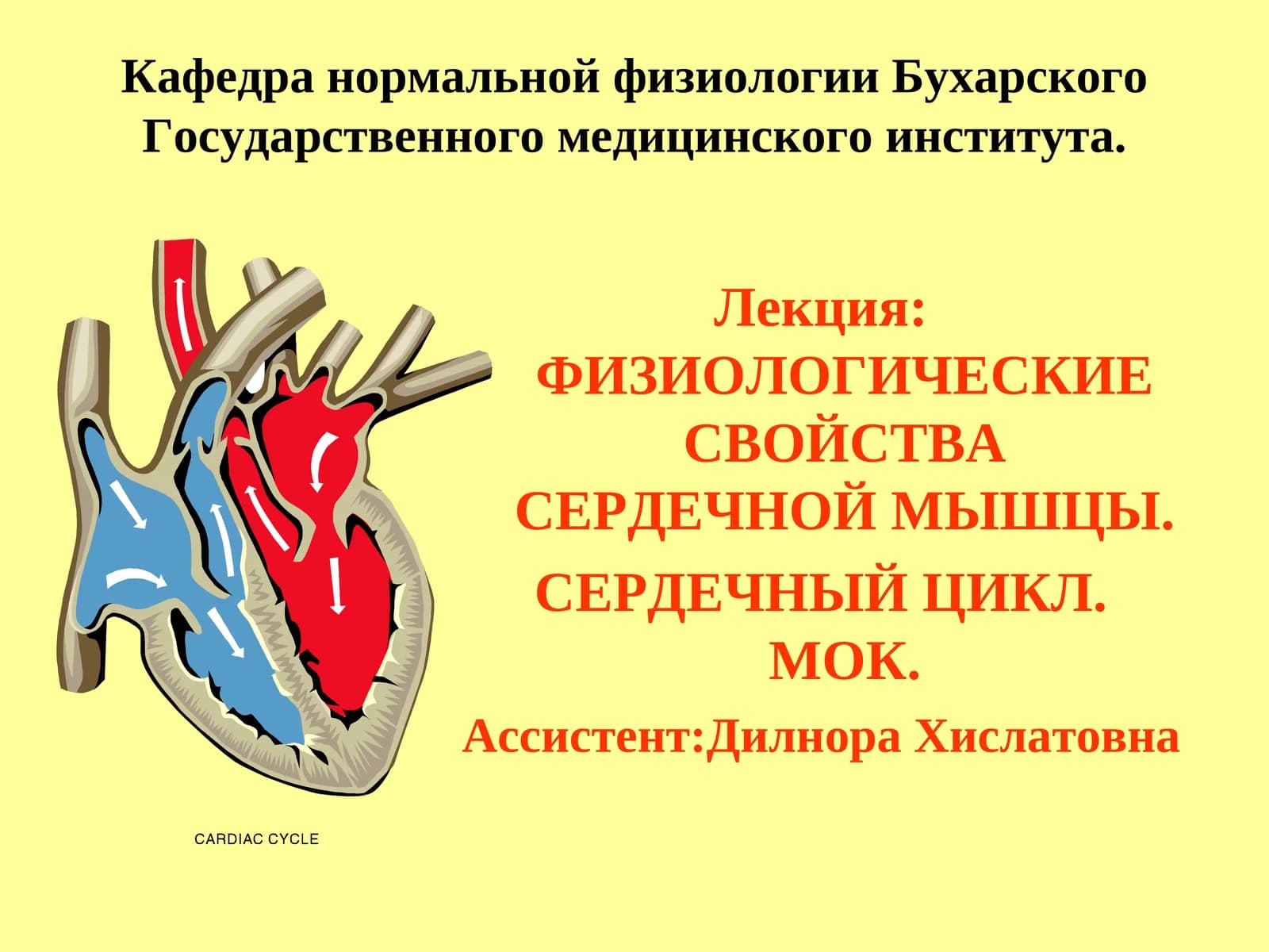 ФИЗИОЛОГИЧЕСКИЕ СВОЙСТВА СЕРДЕЧНОЙ МЫШЦЫ