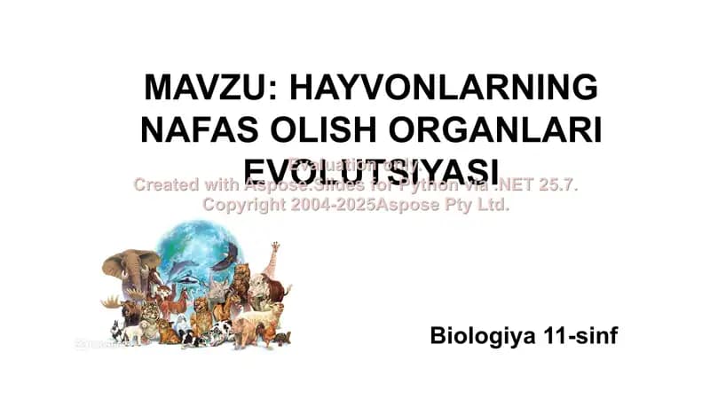 HAYVONLARNING NAFAS OLISH ORGANLARI EVOLUTSIYASI