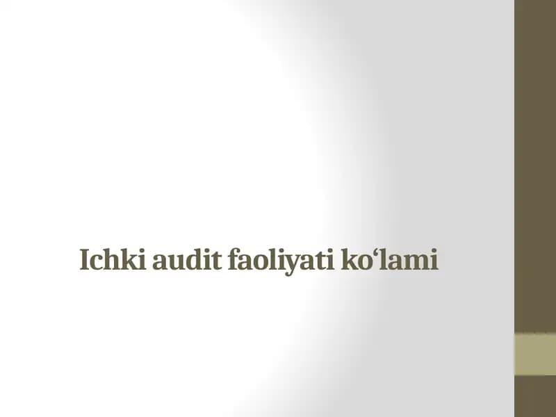 Ichkiaudit faoliyati ko‘lami