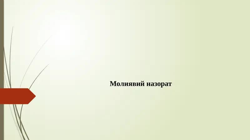 Moliyaviy nazorat