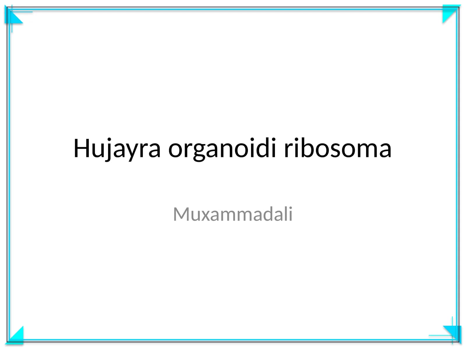 Hujayra organoidi ribosoma