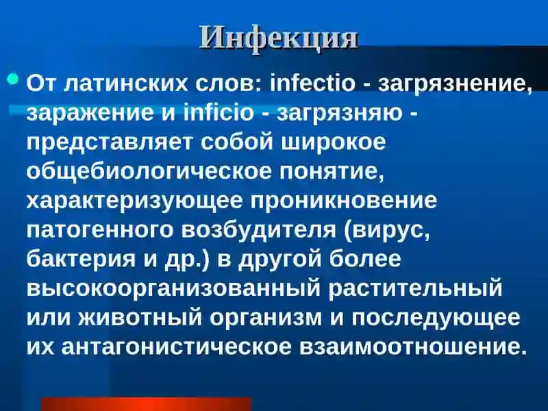 Инфекция