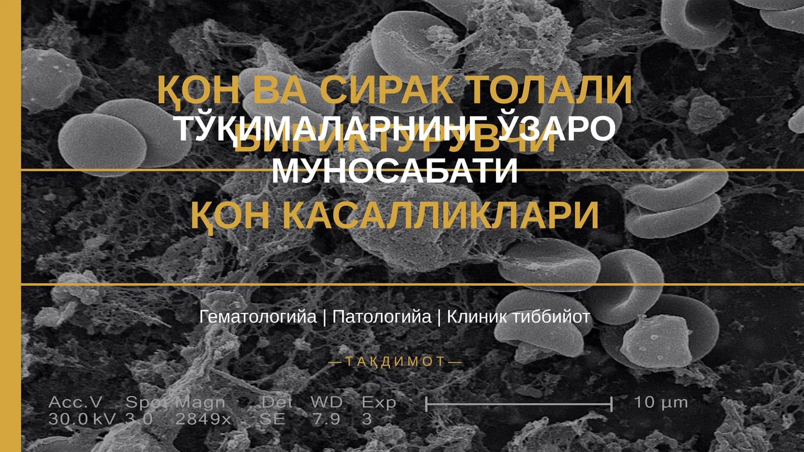 ҚОН ВА СИРАК ТОЛАЛИ БИРИКТУРУВЧИ
