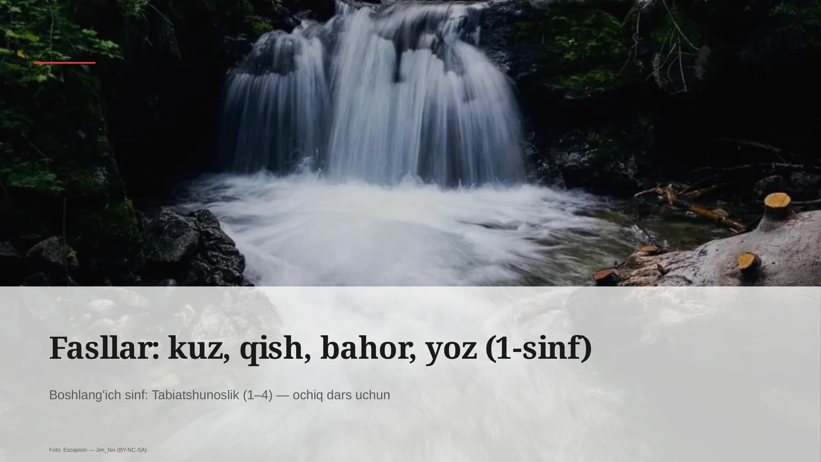Fasllar: kuz, qish, bahor, yoz
