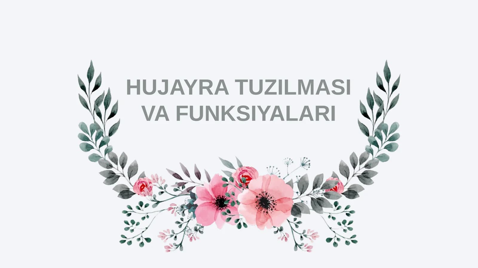 HUJAYRA TUZILMASI VA FUNKSIYALARI