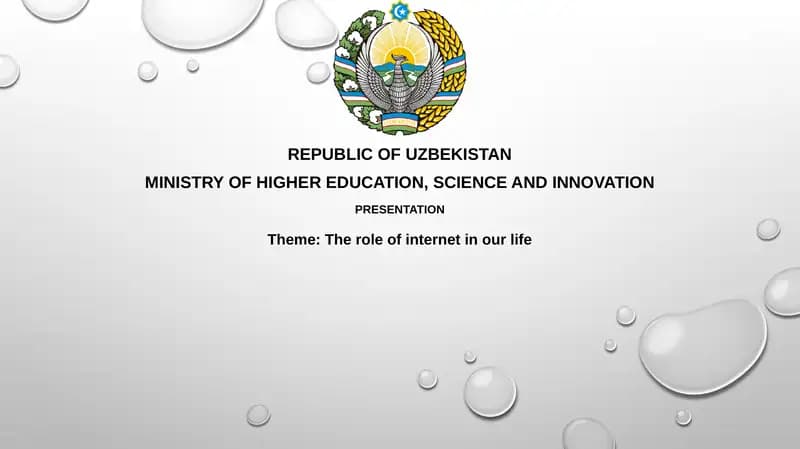 The role of internet in ourlife