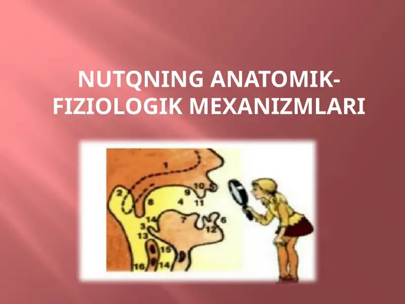 NUTQNING ANATOMIK-FIZIOLOGIK MEXANIZMLARI
