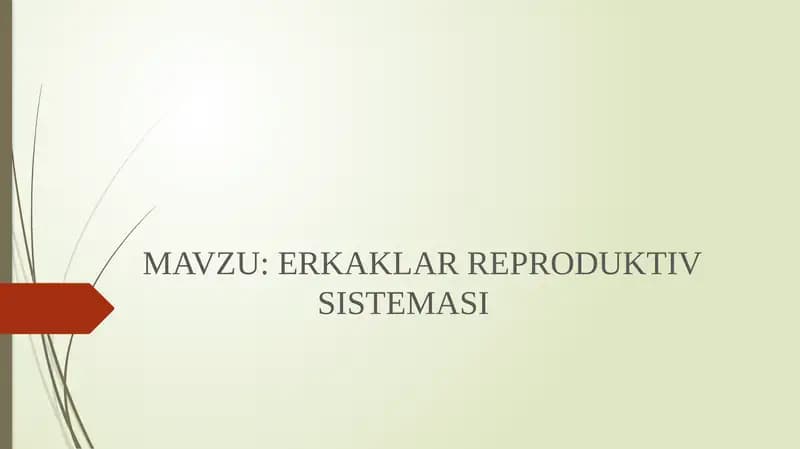 ERKAKLAR REPRODUKTIV SISTEMASI