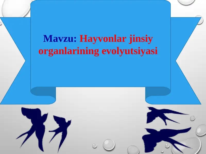 Hayvonlar jinsiy organlarining evolyutsiyasi