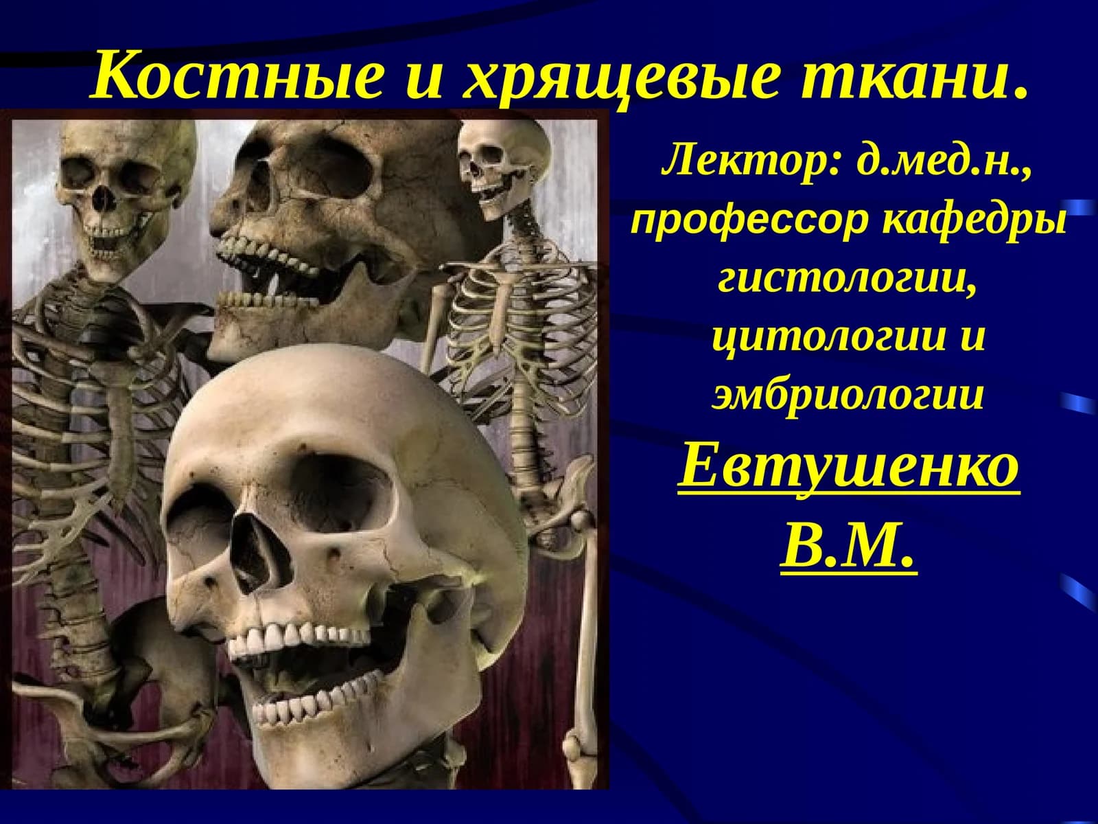 Костные и хрящевые ткани