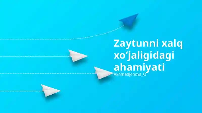 Zaytun yog'i bozori qiymati