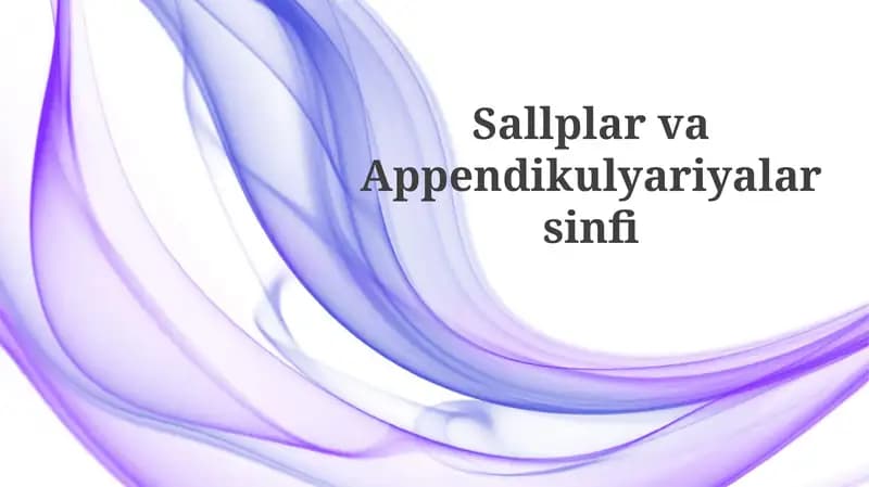 Sallplar va Appendikulyariyalar sinfi