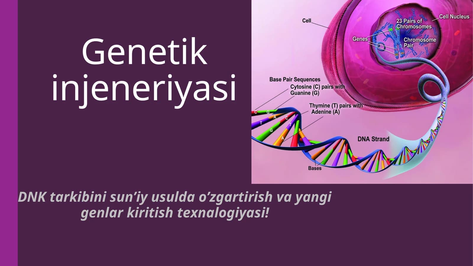 Genetik injeneriyasi
