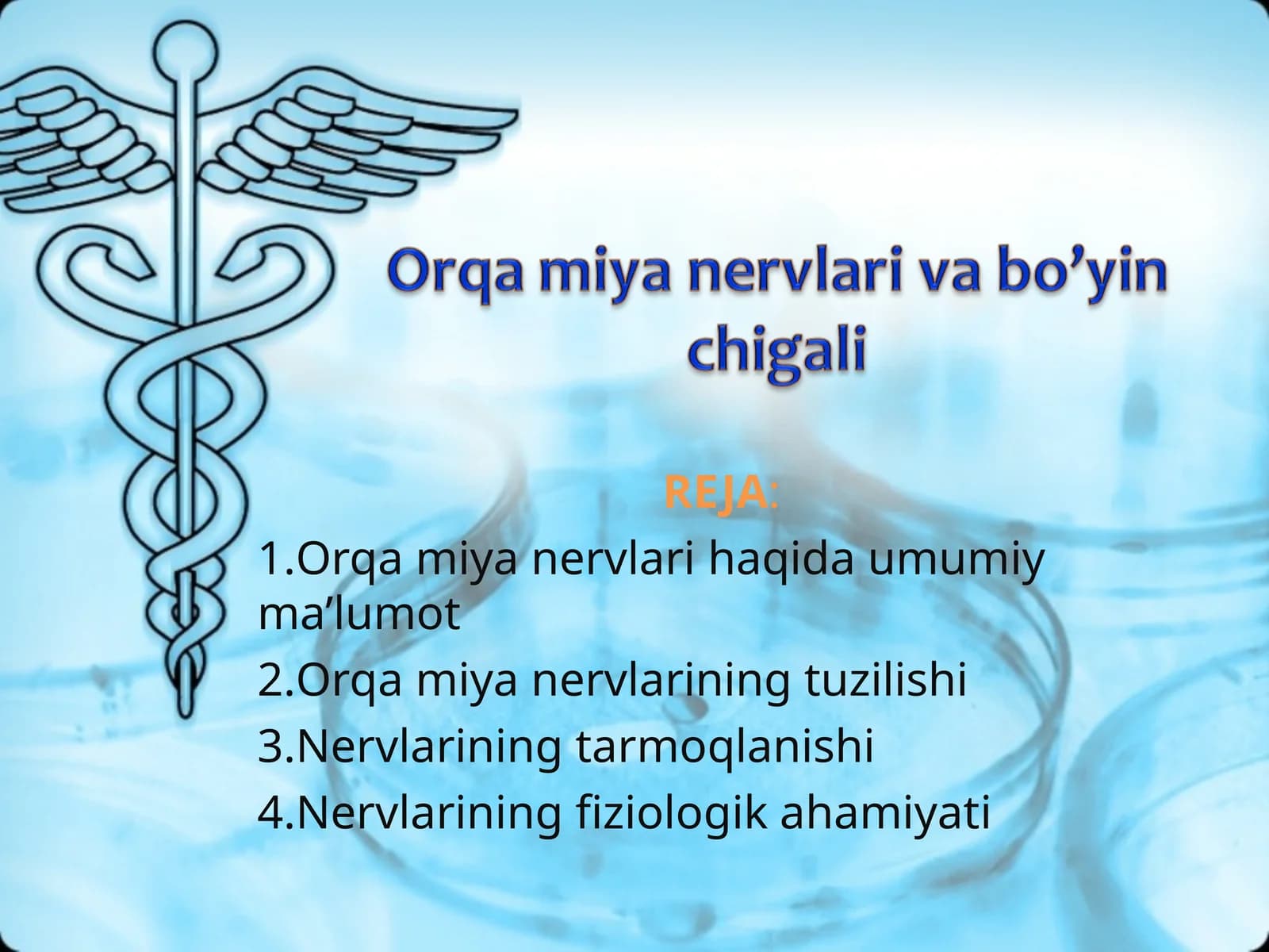 ORQA MIYA NERVLARI