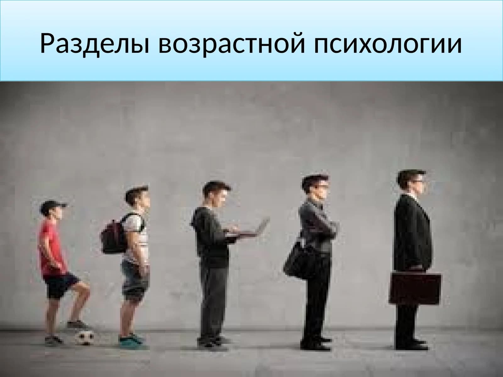 Разделы возрастной психологии