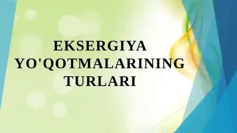 Eksergiya yo'qotmalarining turlari