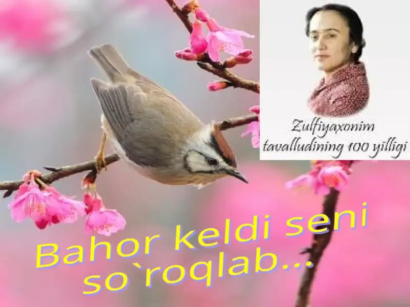 Zulfiyahayoti va ijodi