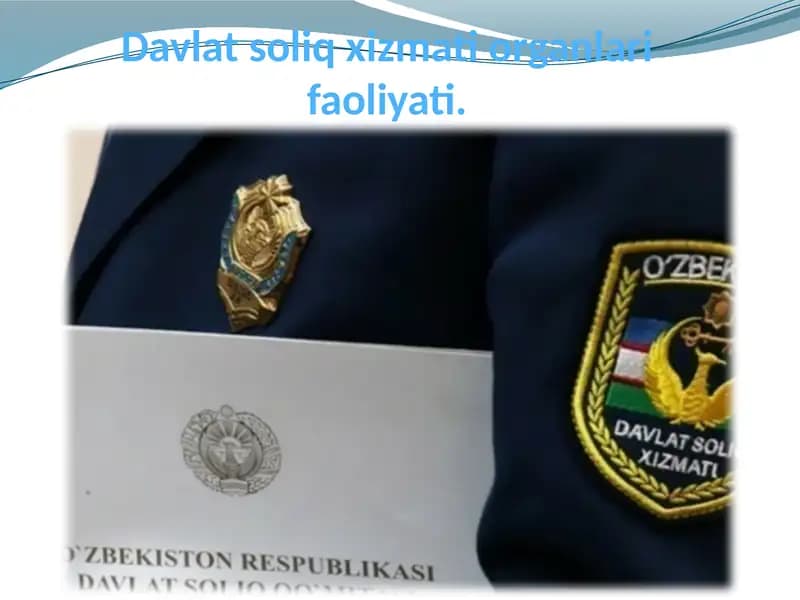 Davlat soliq xizmati organlari faoliyati