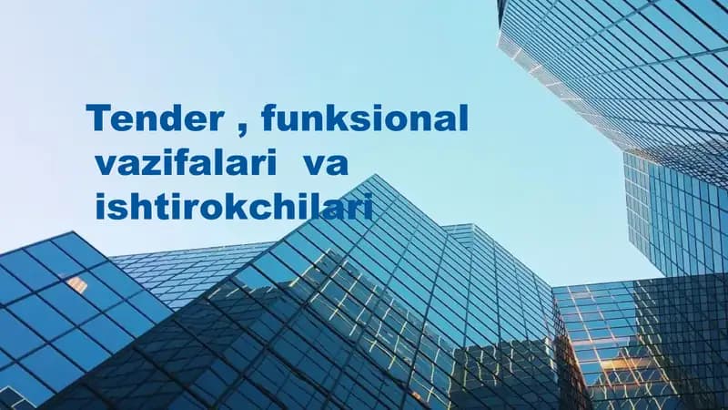 Tender, funksional vazifalari  va ishtirokchilari