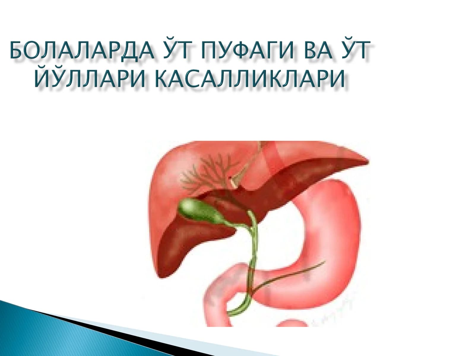 Холецистит ривожланиши