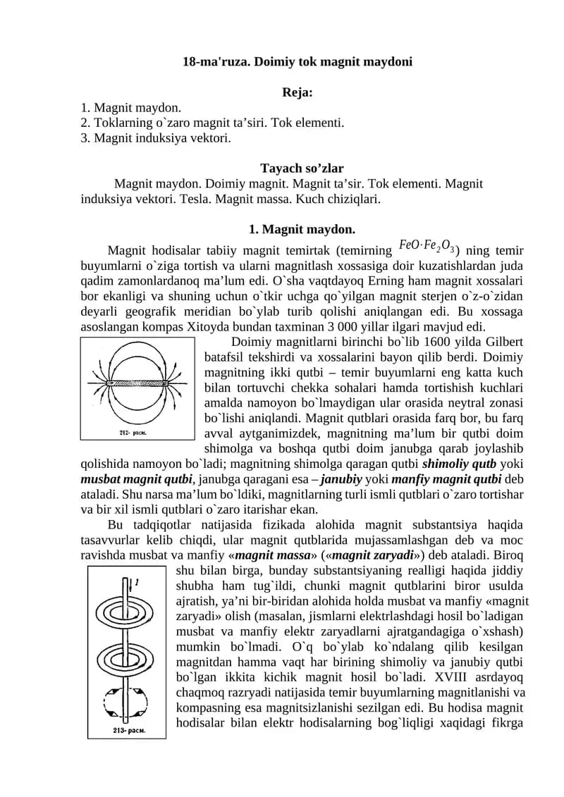 Magnit maydon
