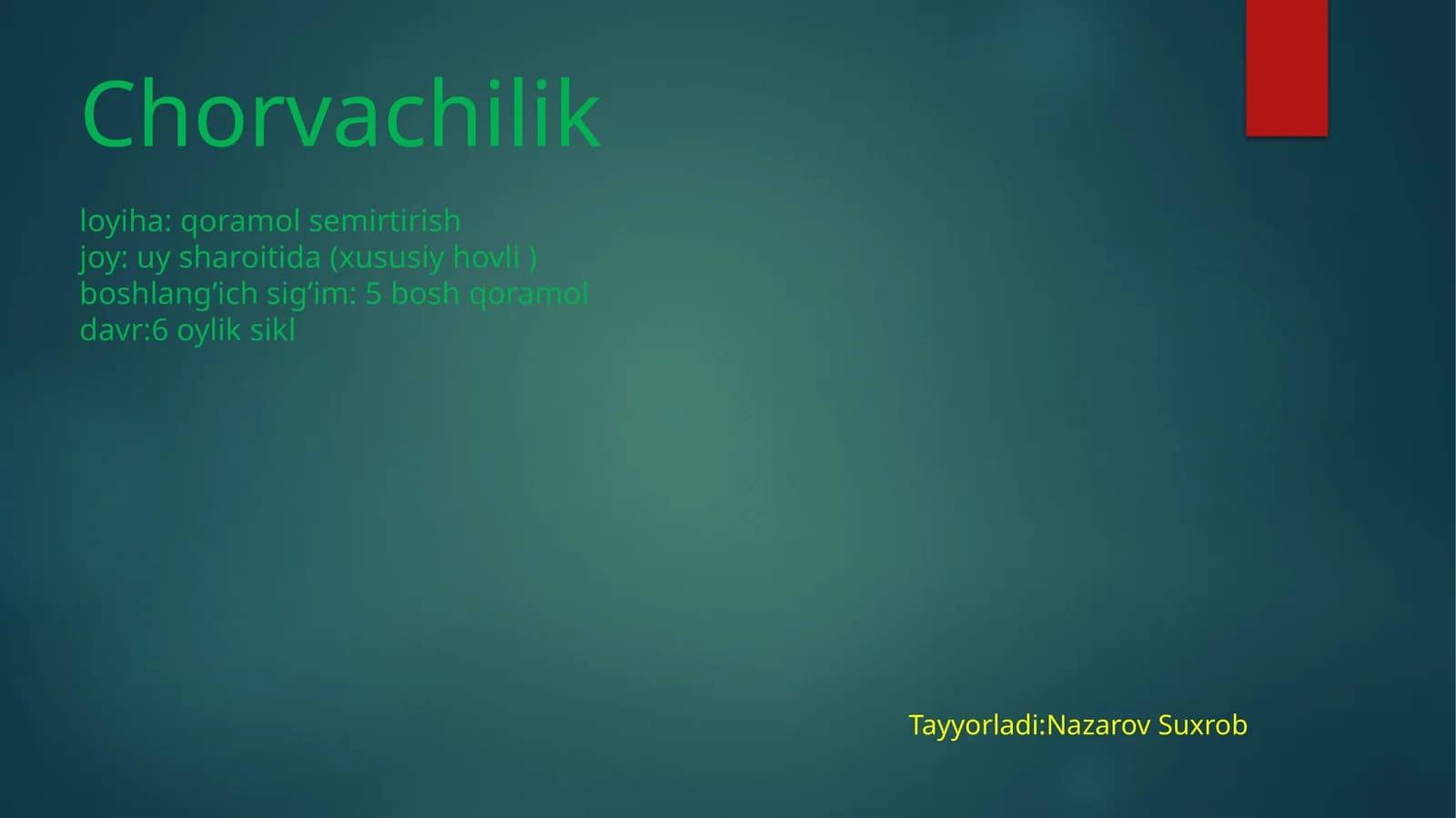 Chorvachilik loyiha