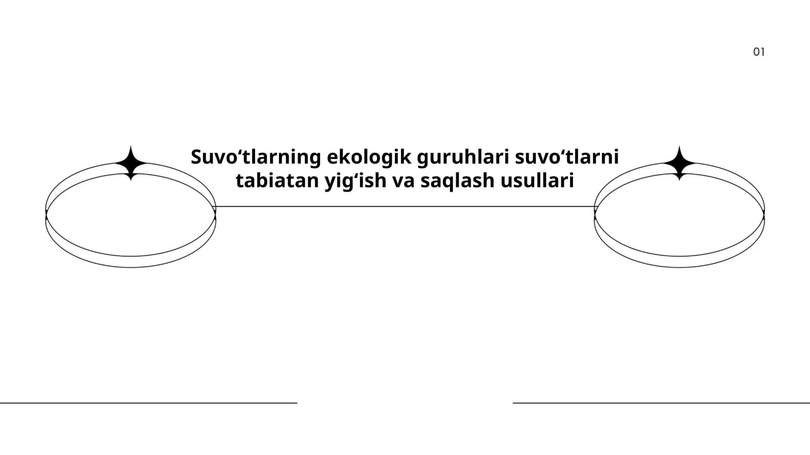 Suvoʻtlarning ekologik guruhlari
