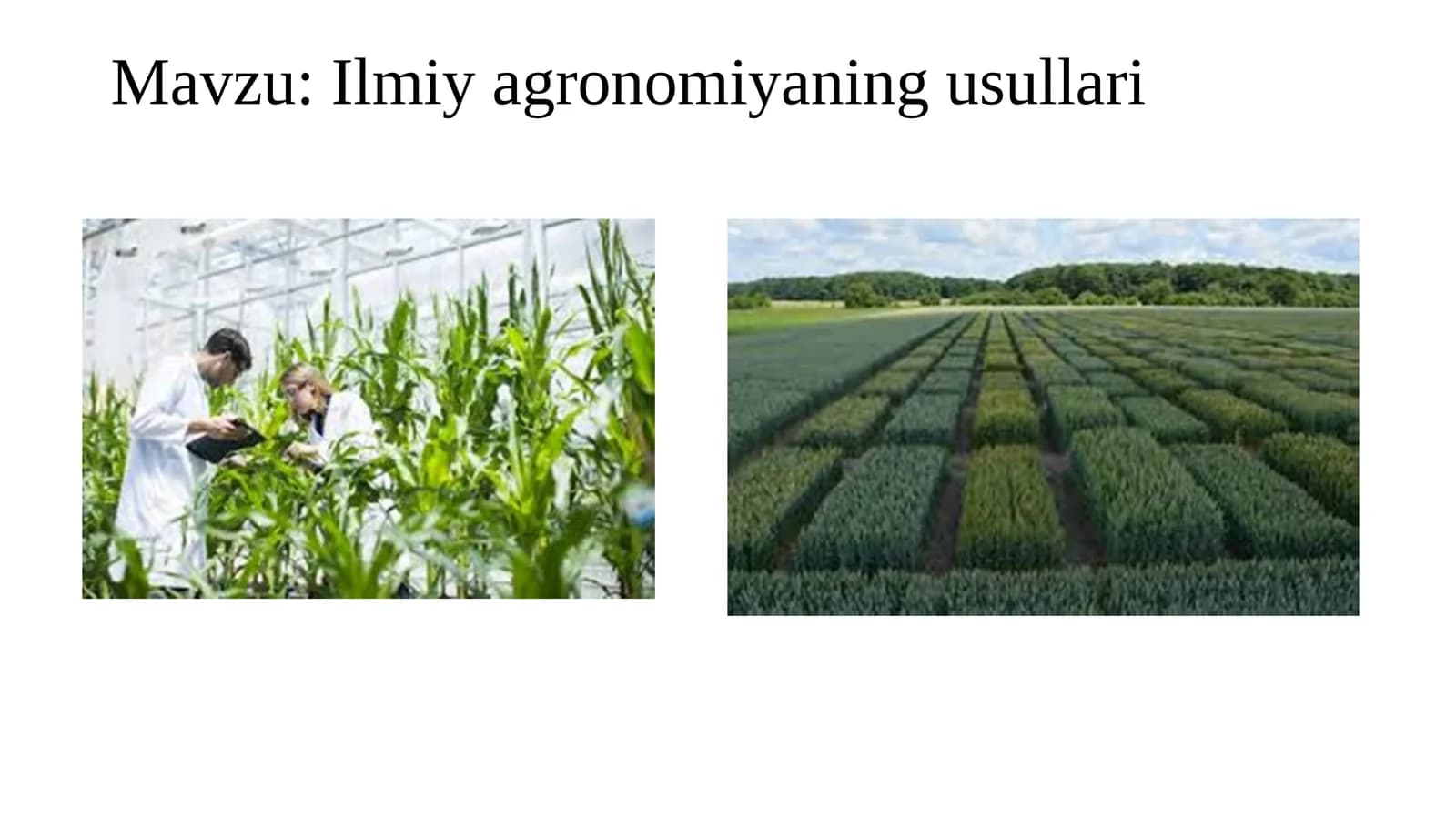 Ilmiy agronomiyaning usullari