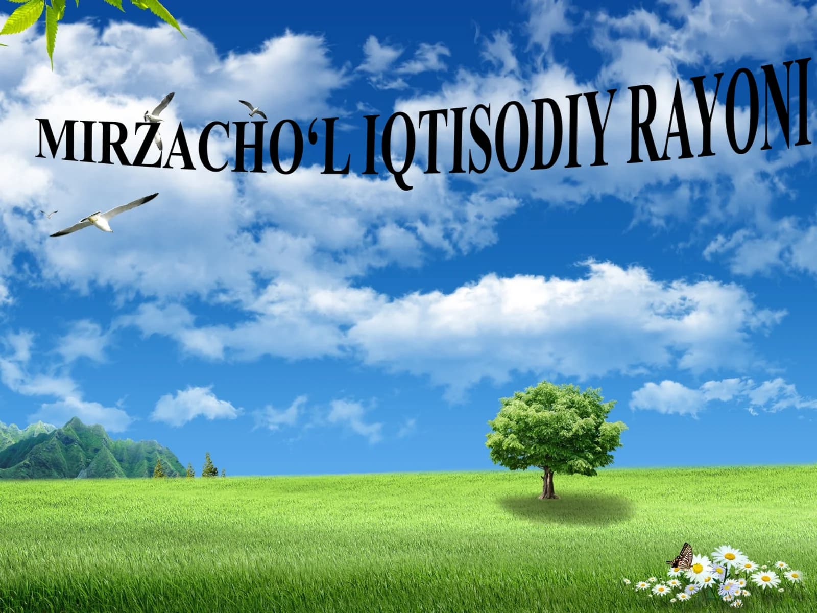 MIRZACHO‘L IQTISODIY RAYONI