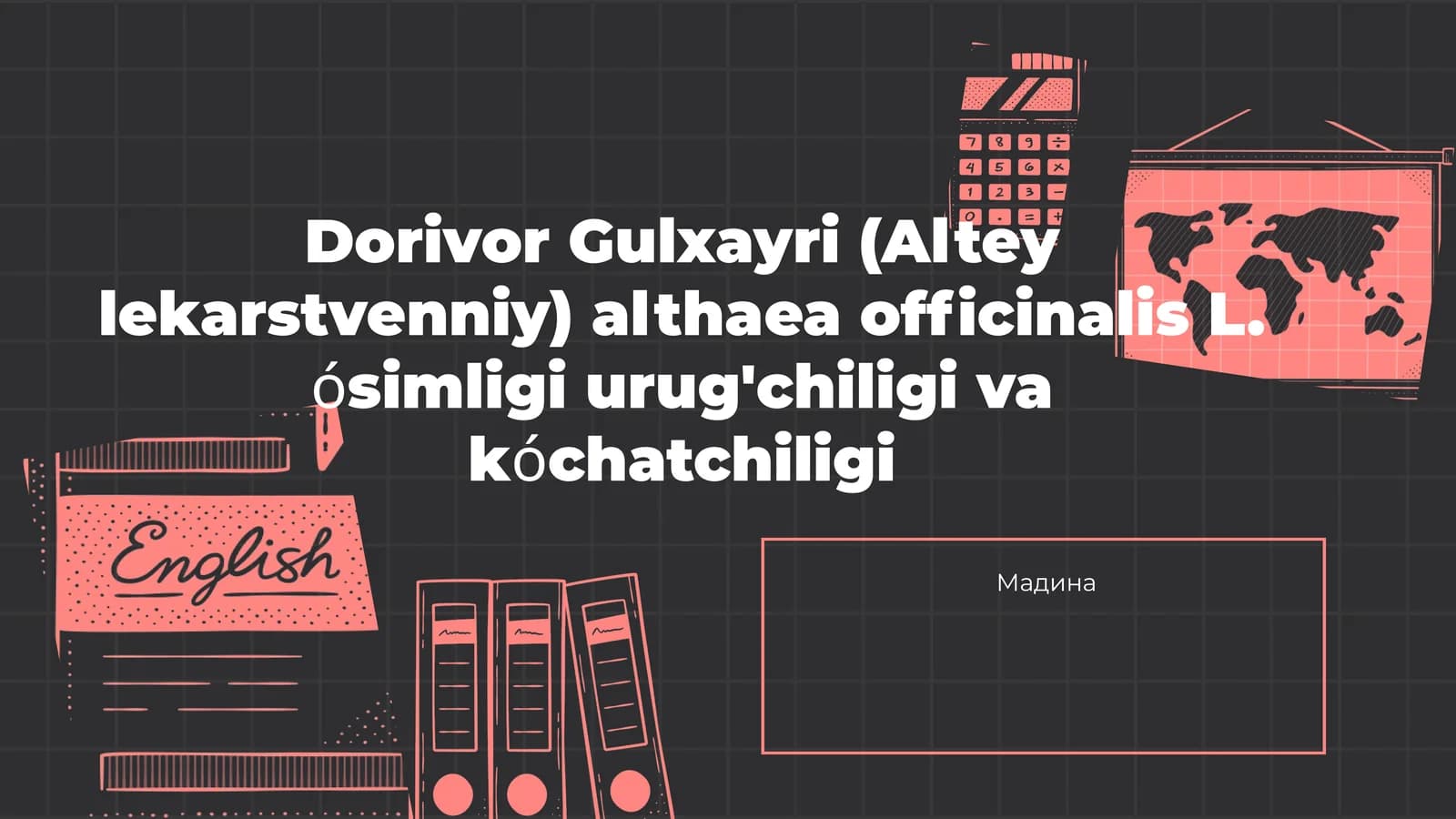 Dorivor Gulxayri (Alteyle karstvenniy)