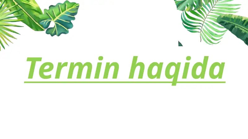 Termin