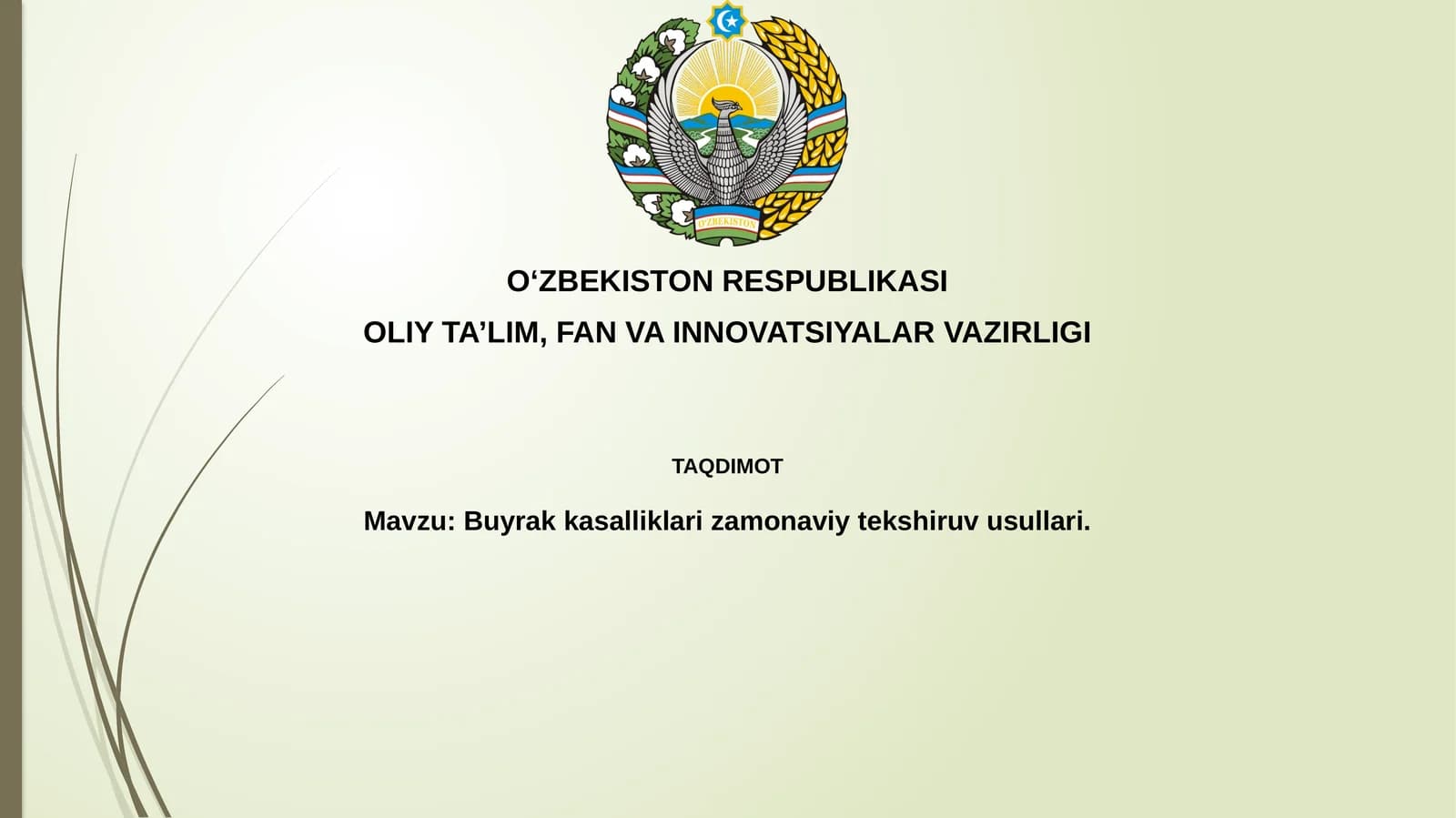 Buyrakkasalliklarizamonaviytekshiruvusullari
